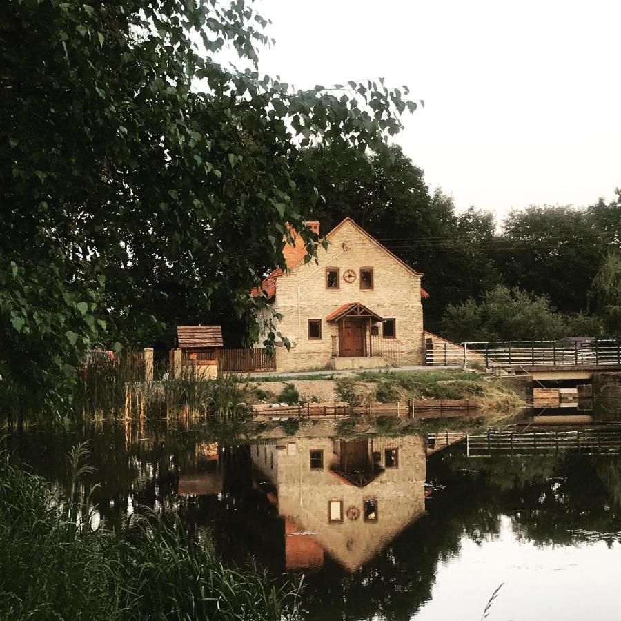 Villa Wisniowy Mlyn à Wisniowa k Staszowa Extérieur photo